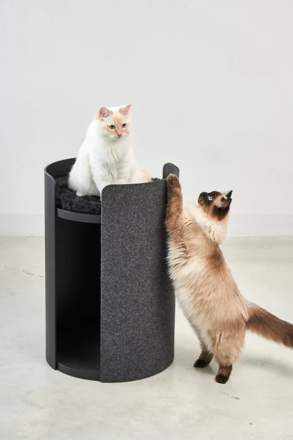 TORRE ARBRE A CHAT DESIGN MIA CARA