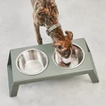 desco gamelle chien