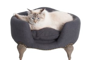 Canapé design pour chat de la collection Lord Lou
