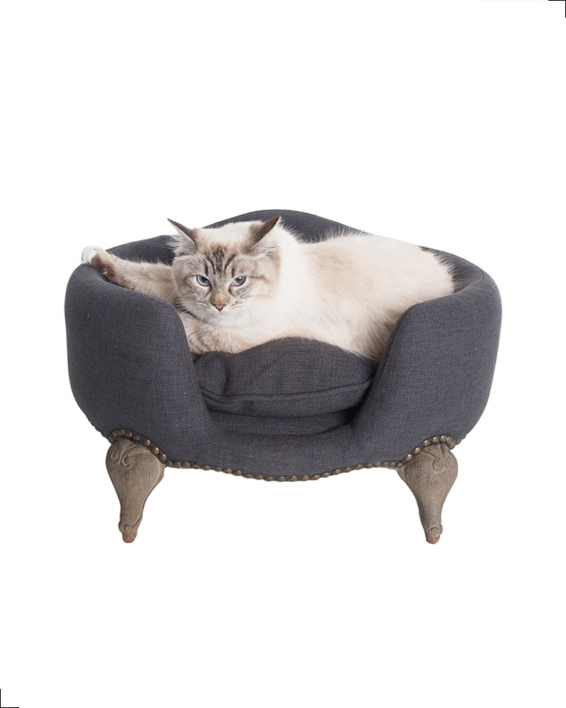 Canapé design pour chat de la collection Lord Lou