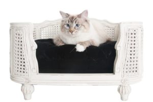 Canapé de luxe pour chat de la collection LORD LOU