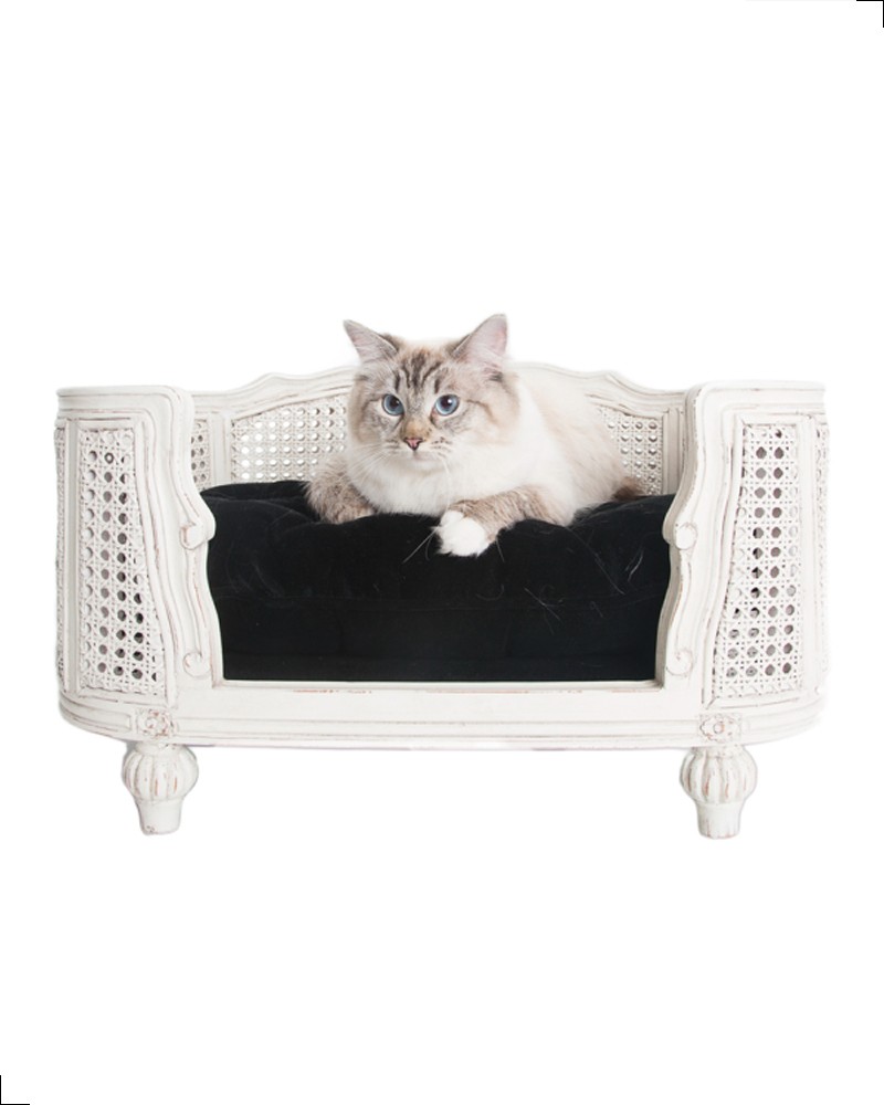 Canapé de luxe pour chat de la collection LORD LOU