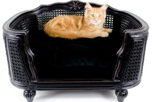 Canapé de luxe pour chat de la collection Lord Lou. Modèle Arthur en chêne et rotin noir.