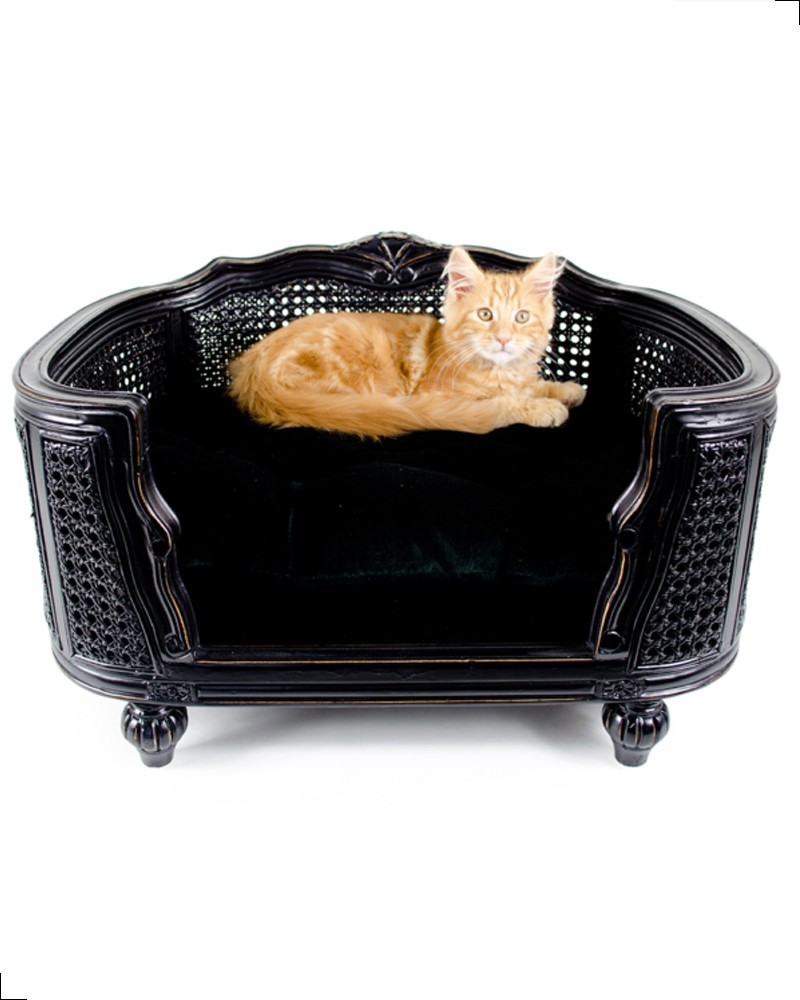 Canapé de luxe pour chat de la collection Lord Lou. Modèle Arthur en chêne et rotin noir.