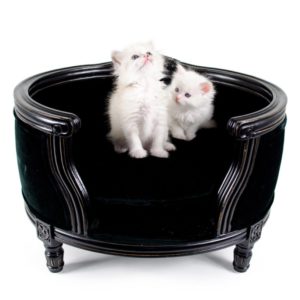 Canapé haut de gamme pour chat, tissu en velours, modèle George de chez Lord Lou