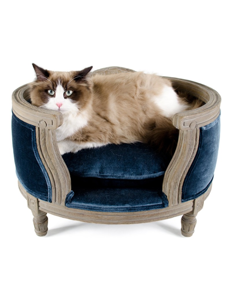 George Chêne et Velours – Canapé haut de gamme pour chat