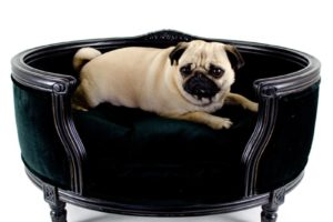 Canapé haut de gamme pour chiens, tissu en velours, modèle George de chez Lord Lou