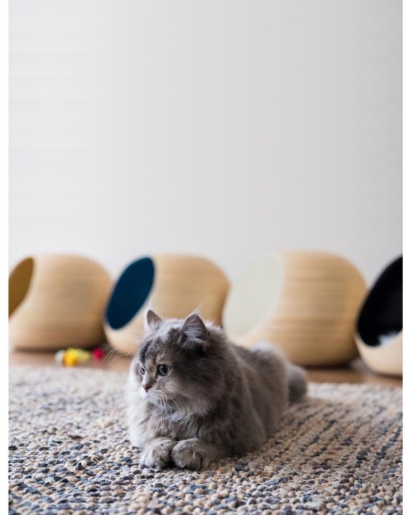 DANDY BALL - Bambou - Niche design pour chat