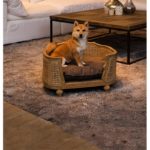 Collection Lord Lou, canapé de luxe pour chien