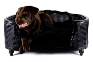 Canapé de luxe pour chien de la collection Lord Lou. Modèle Arthur en chêne et rotin noir.