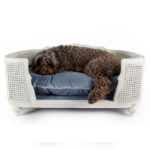 Canapé de luxe pour chien de la collection LORD LOU