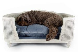 Canapé de luxe pour chien de la collection LORD LOU