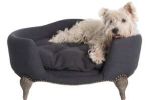 Canapé design pour chien de la collection Lord Lou