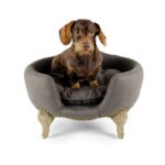 Canapé design pour chien, collection Lord Lou