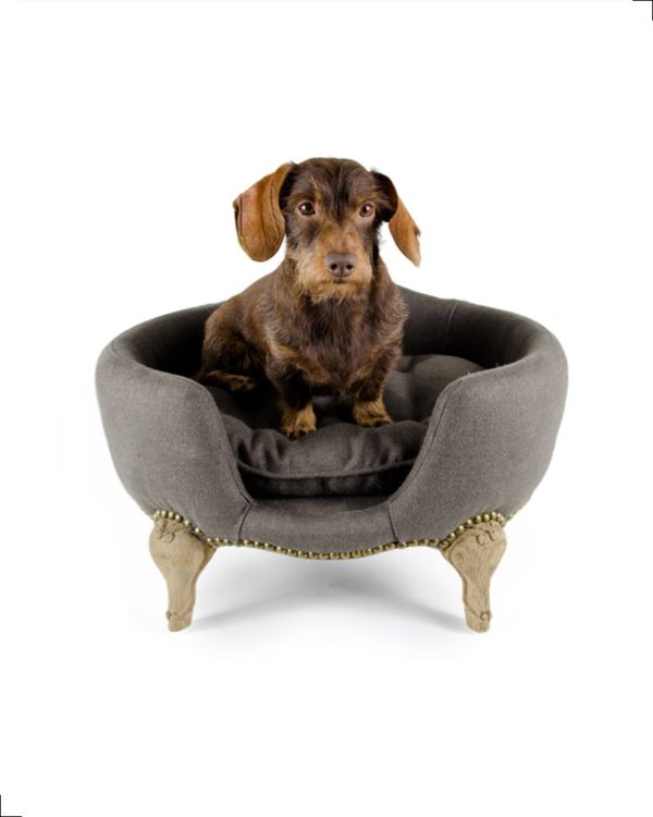 Canapé design pour chien, collection Lord Lou