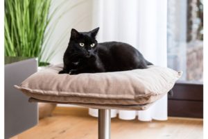 Poet - Lit design pour chat
