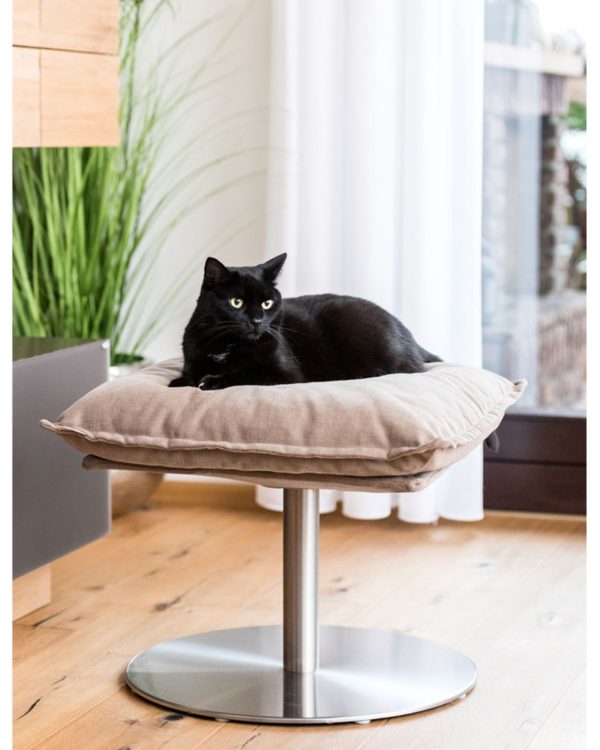 Poet - Lit design pour chat