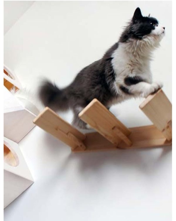 Catissa - Maison design pour chat