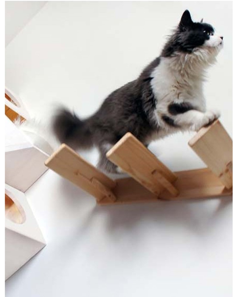 Catissa – Maison design pour chat