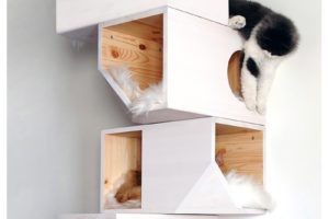 Catissa - Maison design pour chat