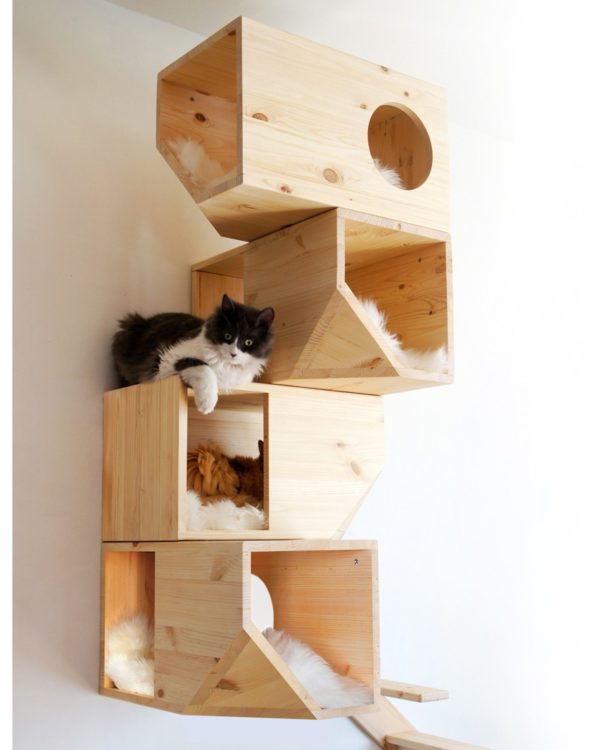 Catissa - Maison design pour chat