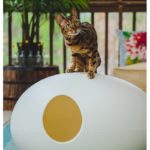 Une maison de toilette design pour chat