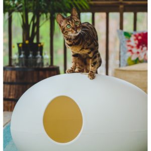 Une maison de toilette design pour chat