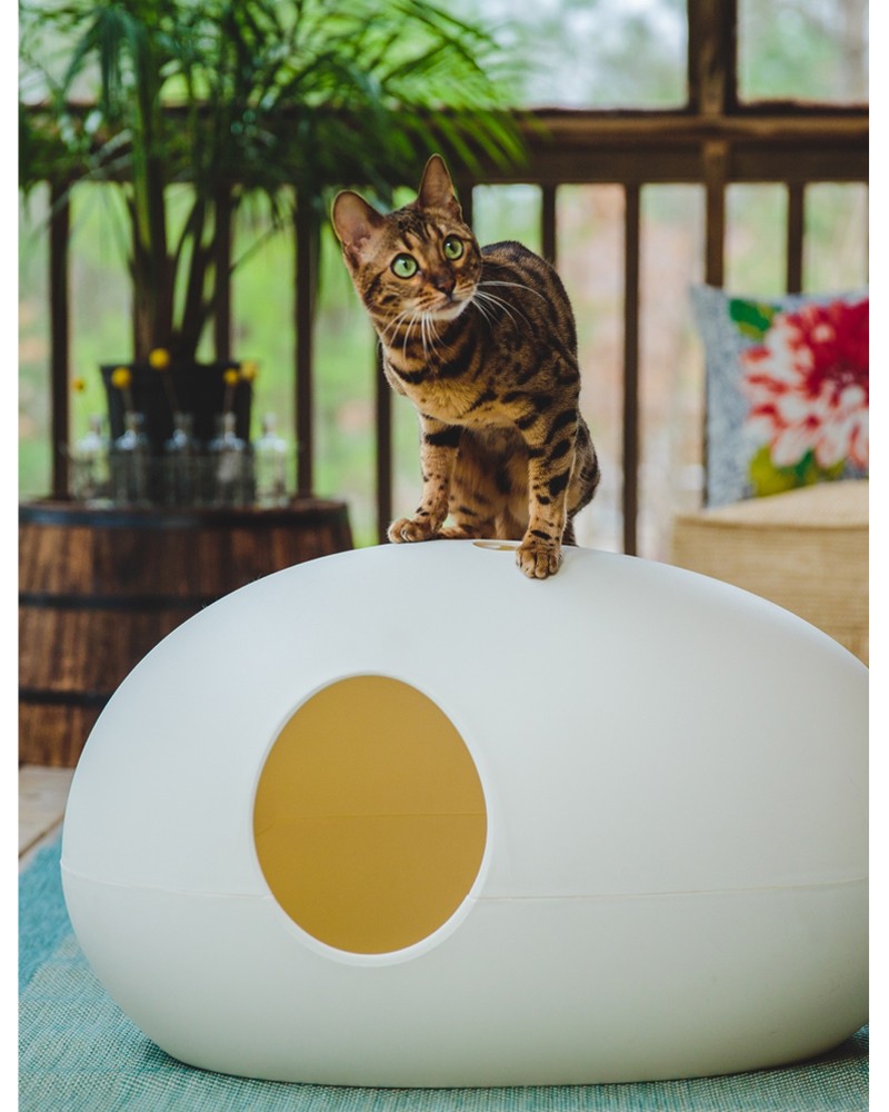 Une maison de toilette design pour chat