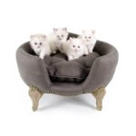 Antoinette fusain - Canapé design pour chat