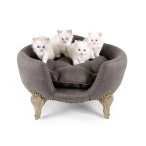 Antoinette fusain - Canapé design pour chat
