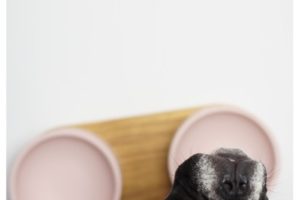 Gamelle haut de gamme chiens