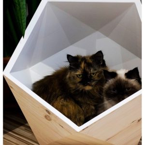 GEOBED - Bois de bouleau - Niche design pour chat
