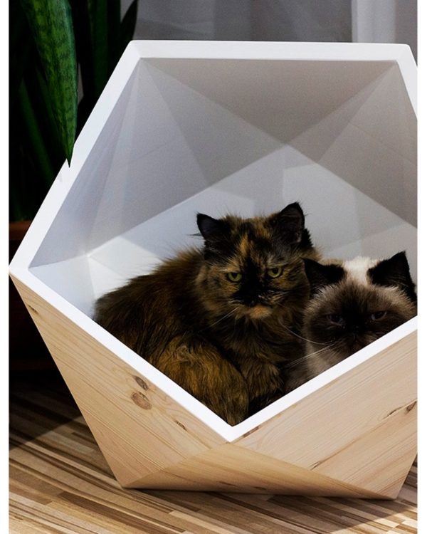 GEOBED - Bois de bouleau - Niche design pour chat