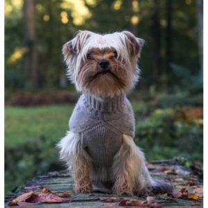 BRUNELLO CACHEMIRE BEIGE - Pull confortable pour chien