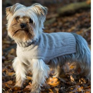 BRUNELLO CACHEMIRE BEIGE - Pull confortable pour chien