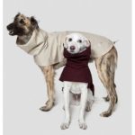 LONDON - Manteau haut de gamme pour chien