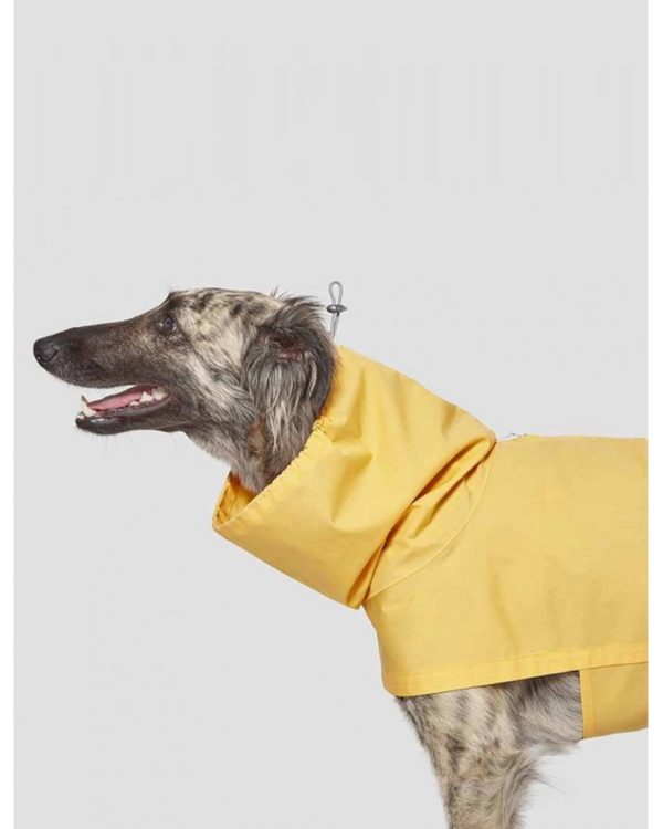 LONDON - Manteau haut de gamme pour chien