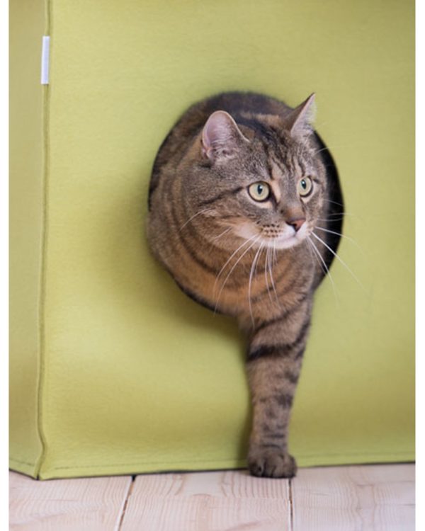 MOOD - Feutre de laine - Igloo design pour chat