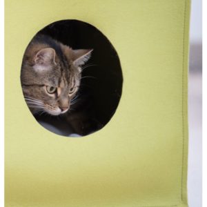 MOOD - Feutre de laine - Igloo design pour chat