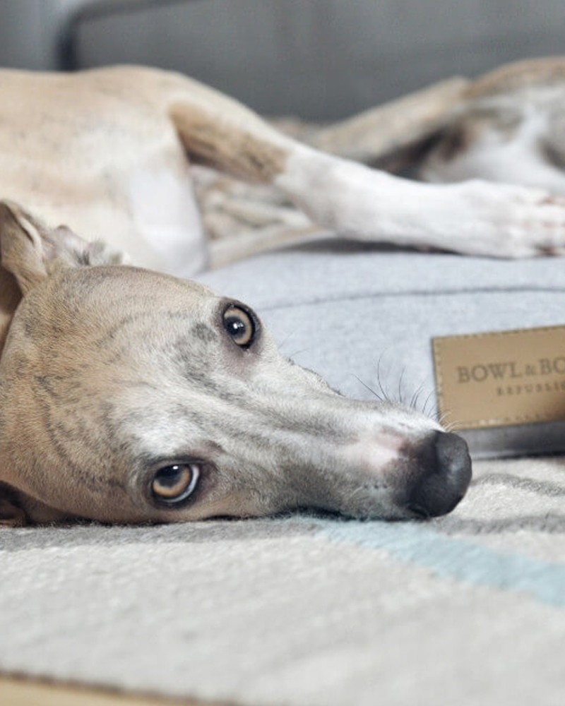 LOFT – coussin confortable pour chien