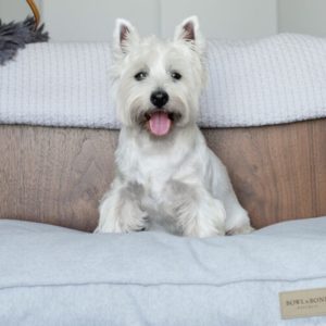 LOFT - coussin confortable pour chien