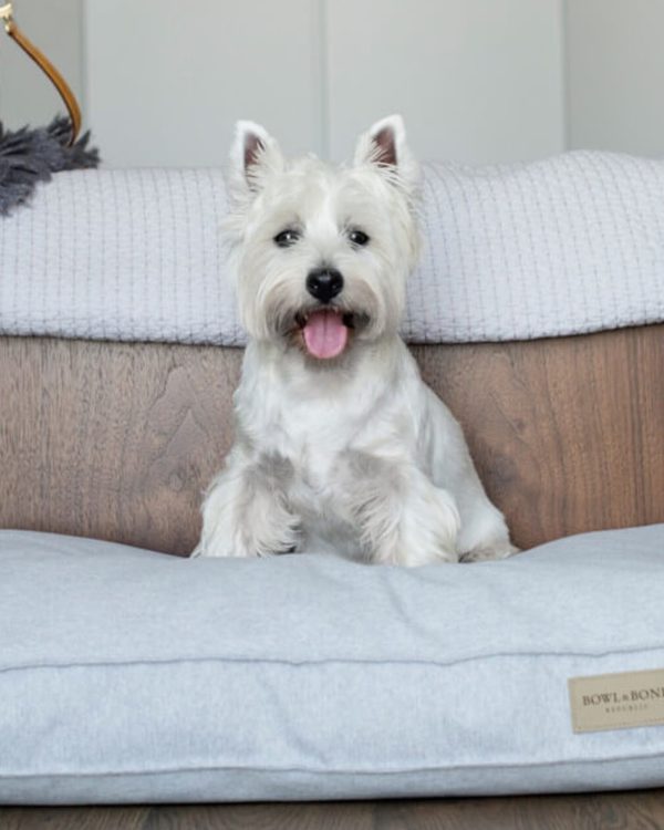 LOFT - coussin confortable pour chien