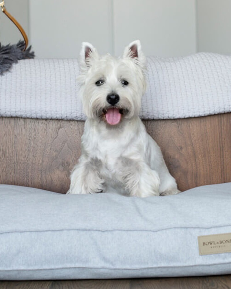 LOFT – coussin confortable pour chien