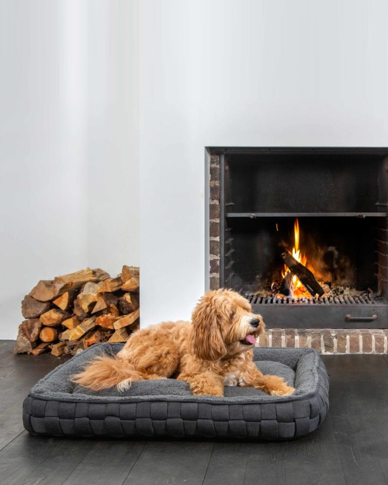 Coussin design pour chien, Collection LORD LOU