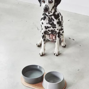 doppio gamelle miacara chien et chat avec planche