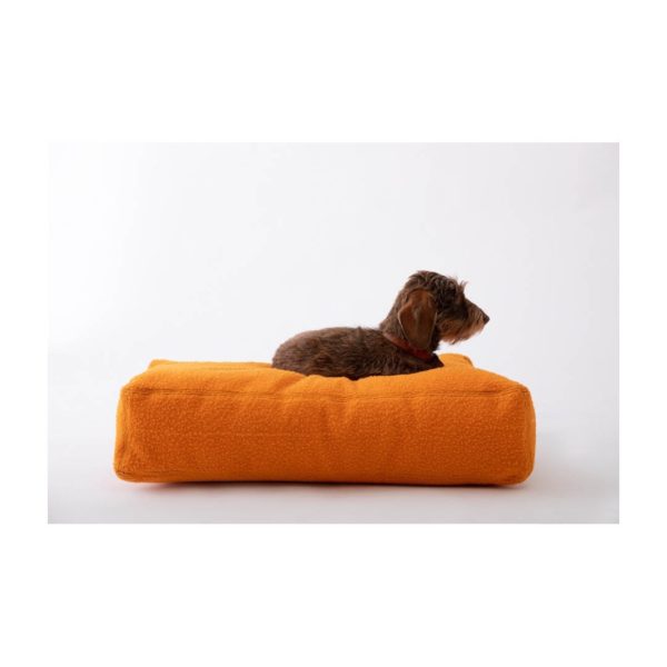 Coussin Elliott en casentino