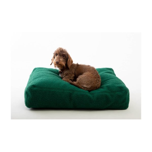 Coussin Elliott en casentino