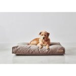 Coussin Stella