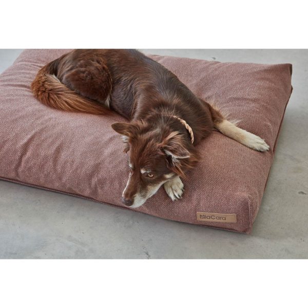 Coussin Luce