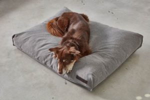 Coussin Luce